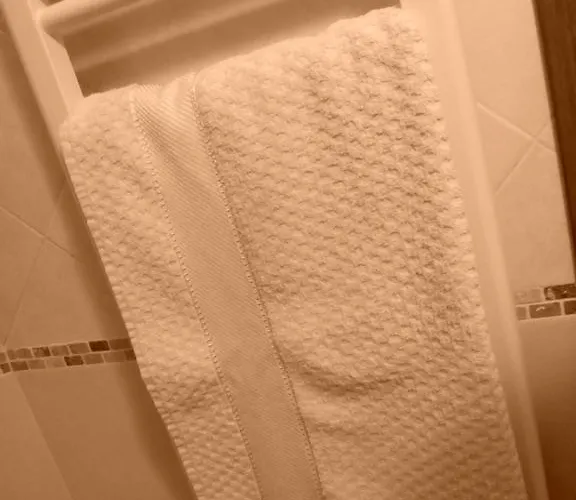 住宿加早餐酒店 Terrazza Sul Mare 3*